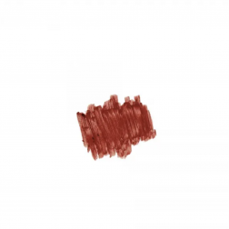 Gosh The Ultimate Lip Liner with a twist 005 Chestnut lūpų pieštukas